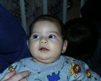 gal28.jpg (7146 bytes)